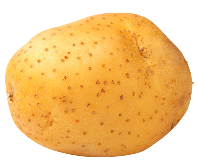 potato png, potato png image, potato transparent png image, potato png full hd images download